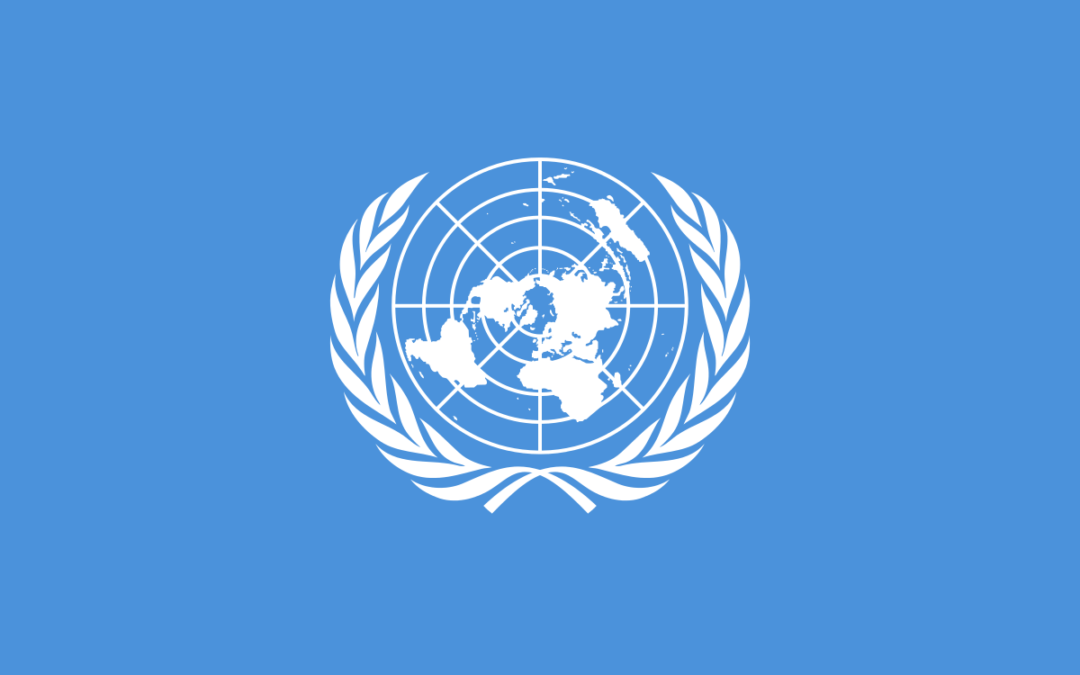 Recent Transfer Pricing Developments: the United Nations perspective – Rome 04.09.14